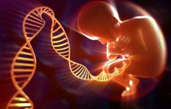 蘇懷安